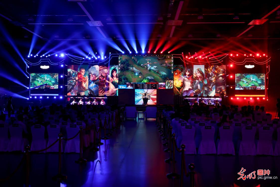 球队的运作 球队的运作