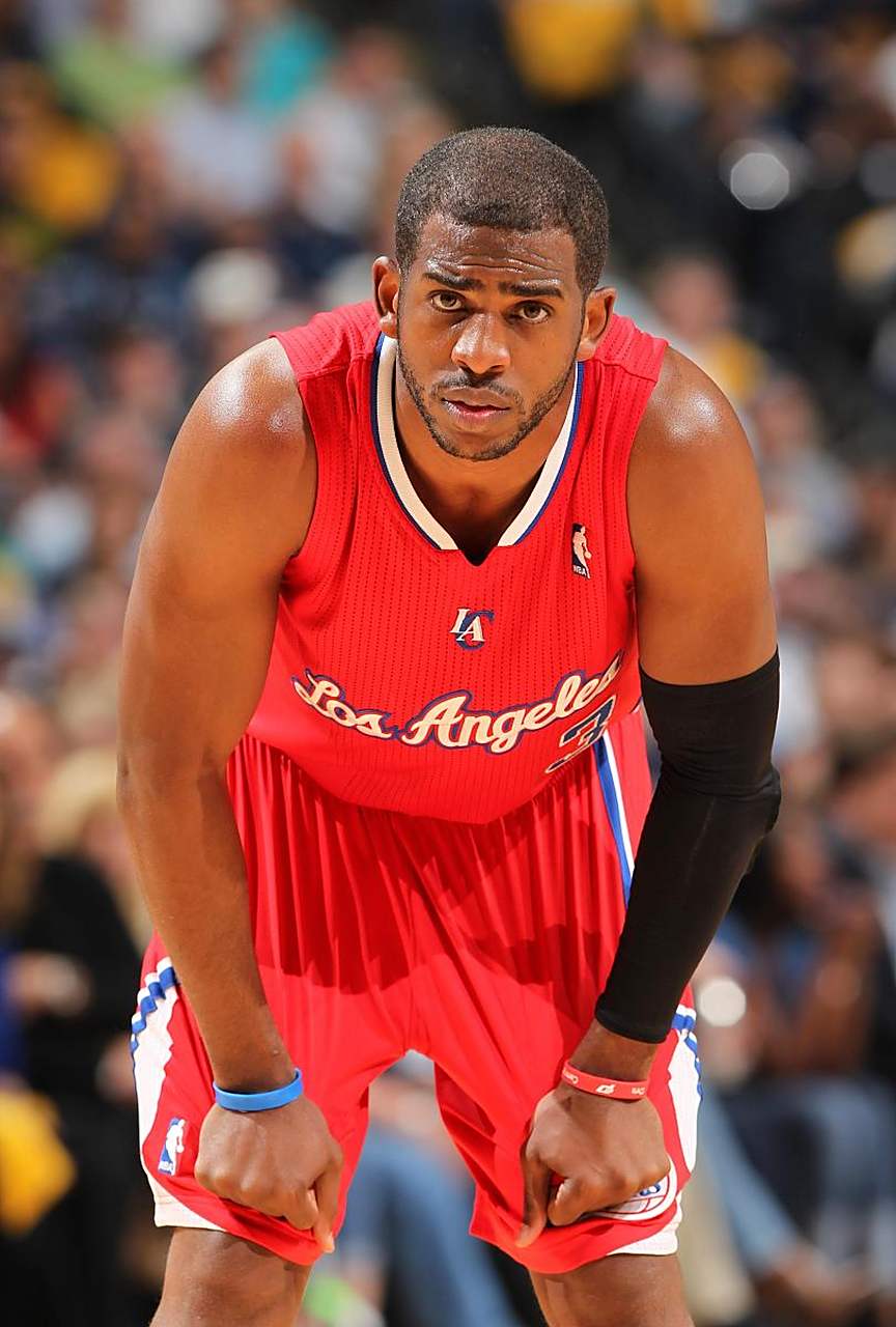 生态的兴趣 生态的兴趣